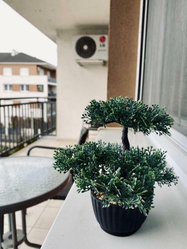 Byblos Wellness Apartman Si�fok