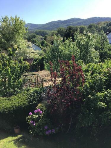 Apartamento Ferienwohnung Panoramablick