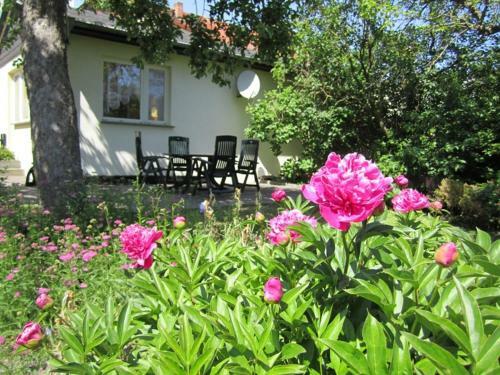 Ferienhaus Am Schilfg�rtel