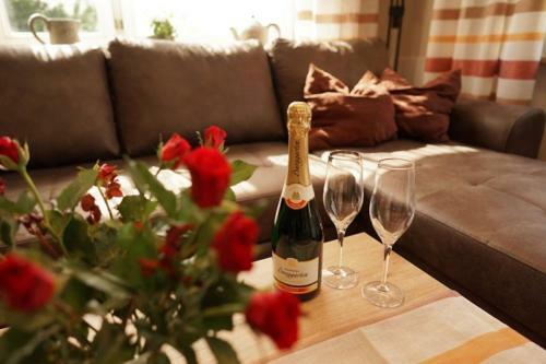 Ferienhaus Am Schilfg�rtel