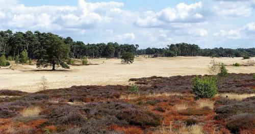 Vakantie Op De Veluwe