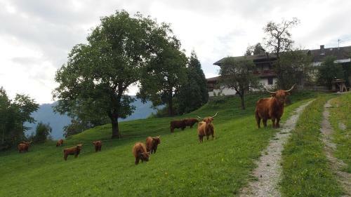 Posada Gasthof Waldemar