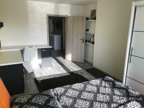 Apartm�n V �plnom Centre