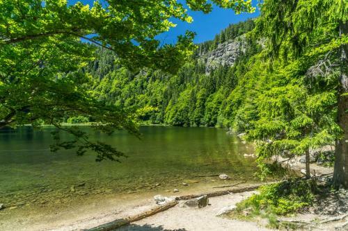 Apartamento Ferienwohnung Seeblick Nr 1, 3 Zi-b�rental, Feldberg
