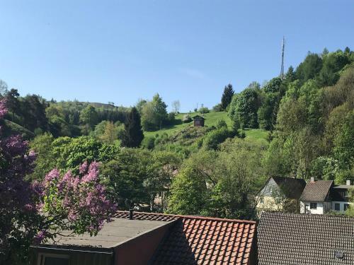 Apartamento Ferienwohnung Am Burgberg