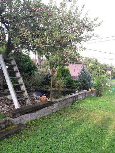 Apartment Magdalena With Garden And Free Bicycles