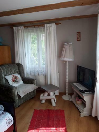 Apartment Magdalena With Garden And Free Bicycles