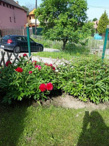 Apartment Magdalena With Garden And Free Bicycles