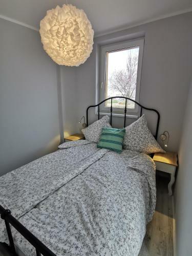 Ferienh�user Am Saaler Bodden