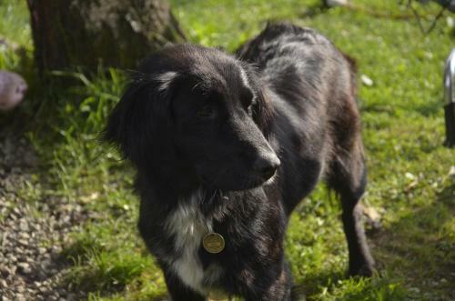 Lodge Chal�pka U Babi?ky