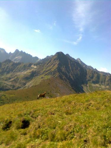 Lodge Chal�pka U Babi?ky