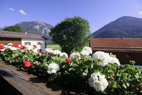 Apartamento Ferienwohnung Schifterhof