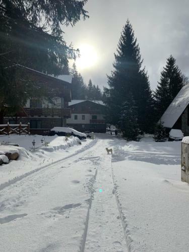 L�?nica Apartments T�le