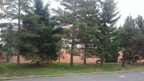 Apartm�n Tatry Tatransk� ?trba