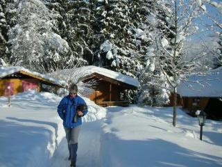 Aparthotel Gartenhotel Rosenhof Bei Kitzb�hel