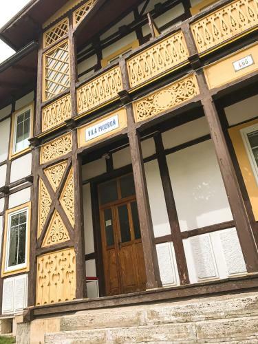 Vila Mudro? - Apartm�n ?tef�nik