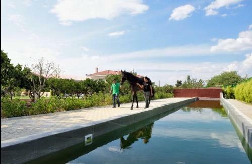 Agroturismo B. Equine Range Hotel