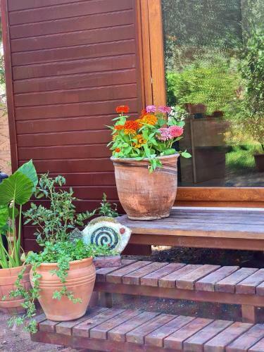 Bed & Breakfast Ekincik Art Camp