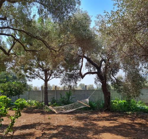Bed & Breakfast Ekincik Art Camp