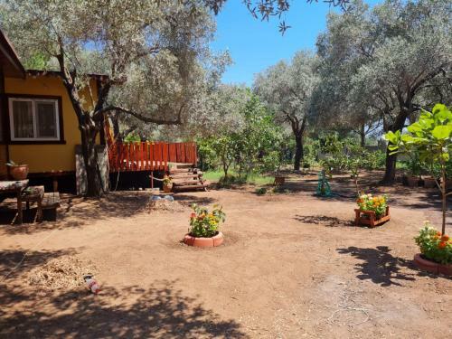 Bed & Breakfast Ekincik Art Camp