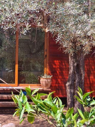 Bed & Breakfast Ekincik Art Camp