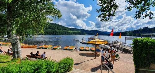 Apartamento Landhaus-apartment Feldbergblick