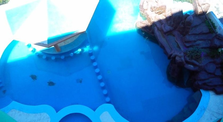 Hotel Plaza Marina Mazatl�n