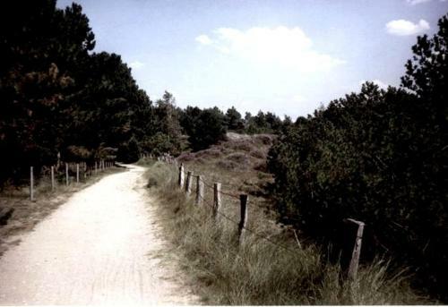 Apartamento Nordseeoase