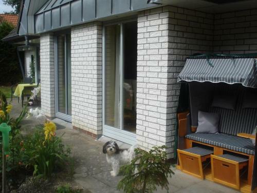 Apartamento Ferienwohnung Lutz Witt Hus