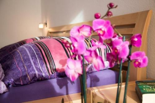 Apartamento Strandmuschel