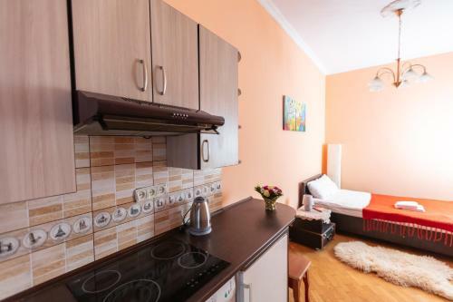 Apartamento Smart Lwow House