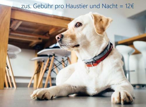 Apartamento Kaj�tesiebenzwo