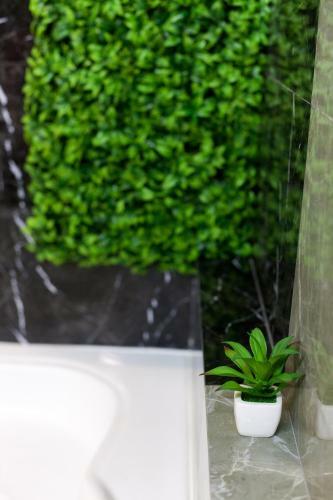 Apartamento Deluxe Leopolli