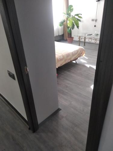 Apartamento ???????? ? ?????? ??????