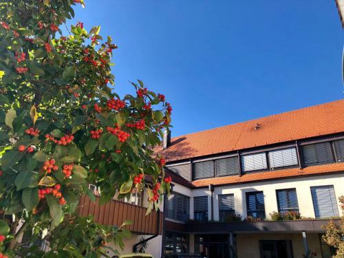 Hostal Gasthof Schiller Bei Bamberg