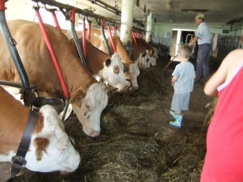 Agroturismo Waldsch�nau