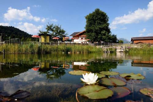 Agroturismo Ferienhof Unterhochst�tt