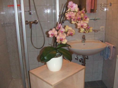 Apartamento Ferienwohnungen Niederacher