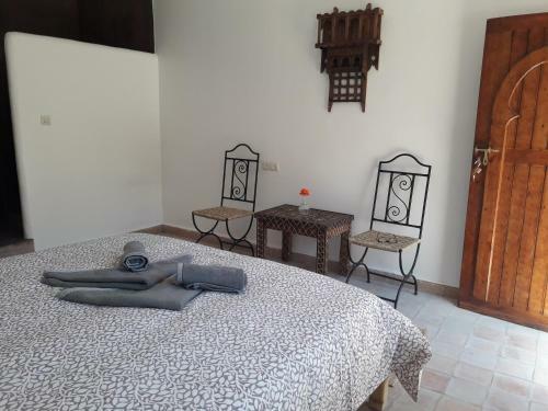 Riad Zitun