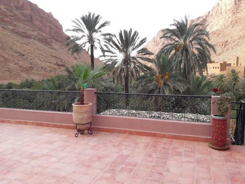 Riad Zitun
