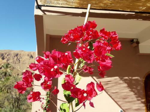 Riad Zitun