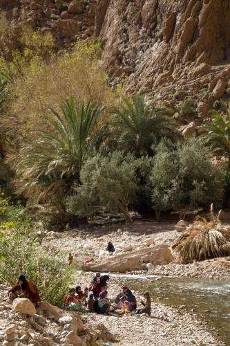 Riad Zitun