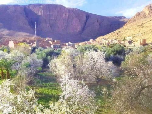 Albergue Dar Almanadir Todra