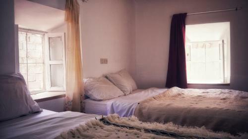 Hostal Monkey Fingers By Fatima Mellal
