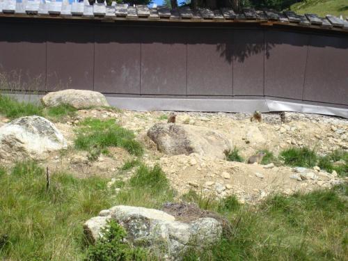 Apartamento Ferienwohnung Moritz