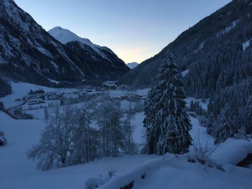 Apartamento Appart Sonnenheim