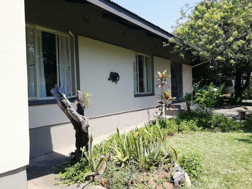 Hostal Elephant Walk Guesthouse And Back Packers