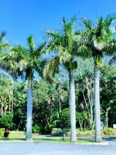 44 Montego Bay Caribbean Estates