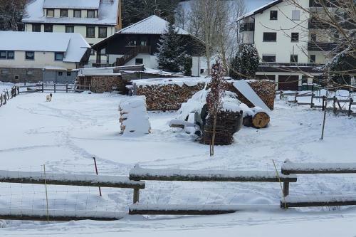 Apartamento Black Forest Kuckucksnest Sch�nwald Im Schwarzwald