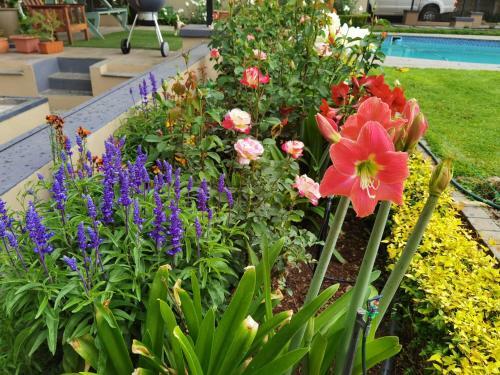 Bed & Breakfast Bella Rosa